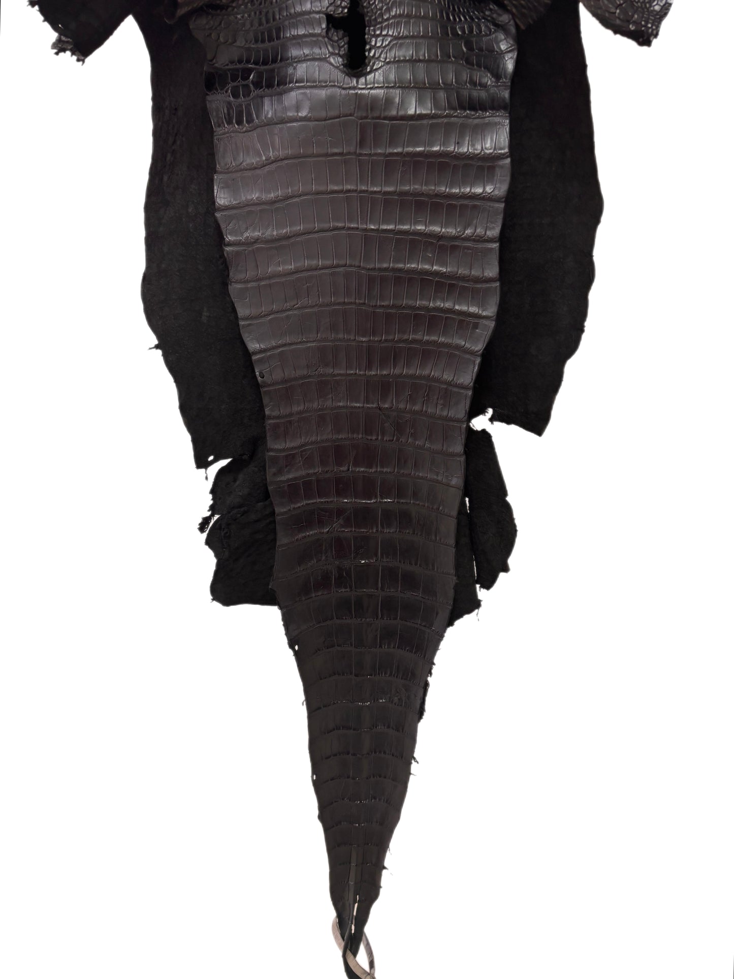 39 cm Grade 2/3 Black Matte Wild American Alligator Leather - Tag: LA17-0037620