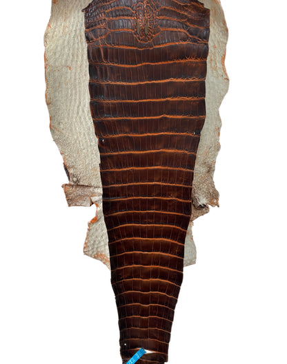 28 cm Grade 1/2 Sienna Matte Wild American Alligator Leather - Tag: ESRE-0050708