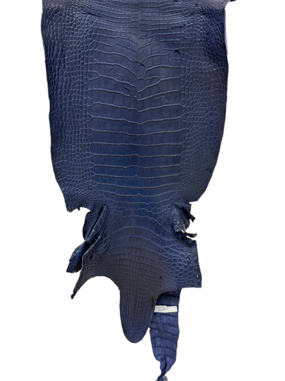 39 cm Grade 3/4 Navy Blue Desert Wild American Alligator Leather - Tag: LA24-0039688