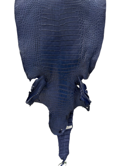 38 cm Grade 2/3 Navy Blue Desert Wild American Alligator Leather - Tag: FL25-0076174