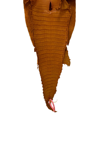 27 cm Grade 2/3 Buttercup Matte Farm-Raised American Alligator Leather - Tag: FL21-0024494