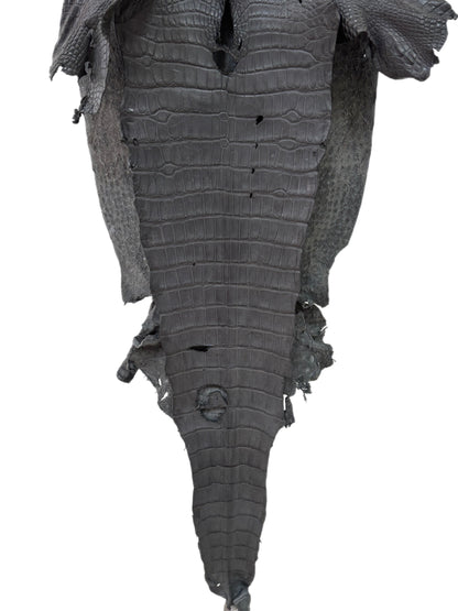 40 cm Grade 3/4 Serpentine Grey Matte Wild American Alligator Leather - Tag: LA23-0023169