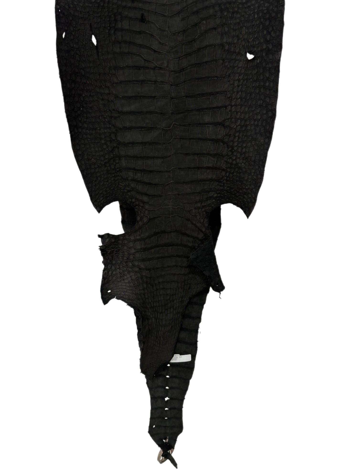 38 cm Grade 3/4 Black Nubuck Wild American Alligator Leather - Tag: LA23-0050614