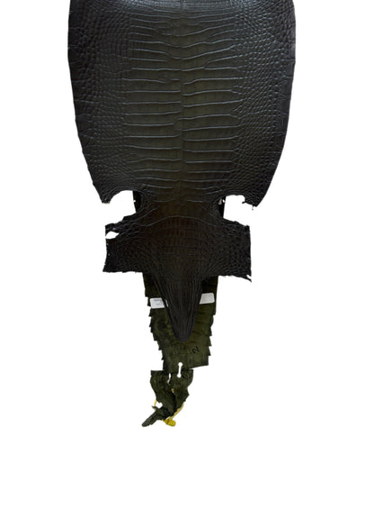 25 cm Grade 1/2 Olive Antique Farm-Raised American Alligator Leather - Tag: FL22-0030015