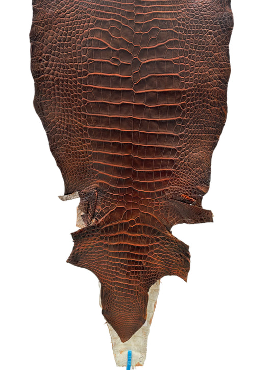 36 cm Grade 1/2 Sienna Matte Wild American Alligator Leather - Tag: ESRE-0033726