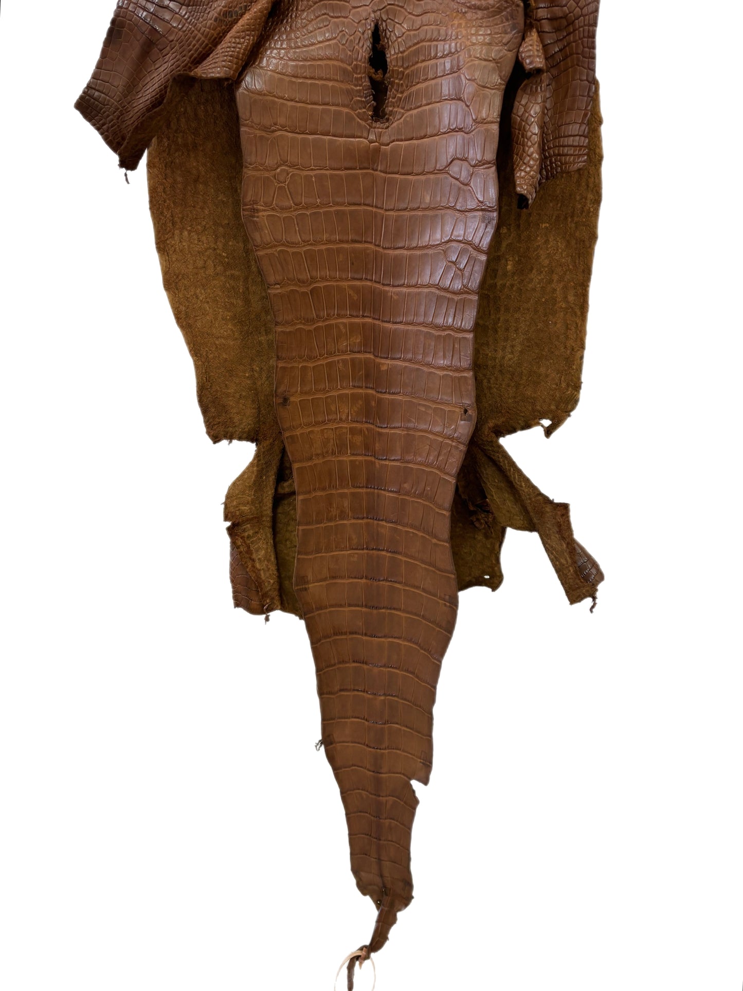 40 cm Grade 2/3 Kango Tabac Matte Wild American Alligator Leather - Tag: LA23-0030531
