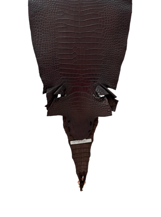 35 cm Grade 1/2 Chocolate Matte Farm-Raised American Alligator Leather - Tag: FL17-0035053