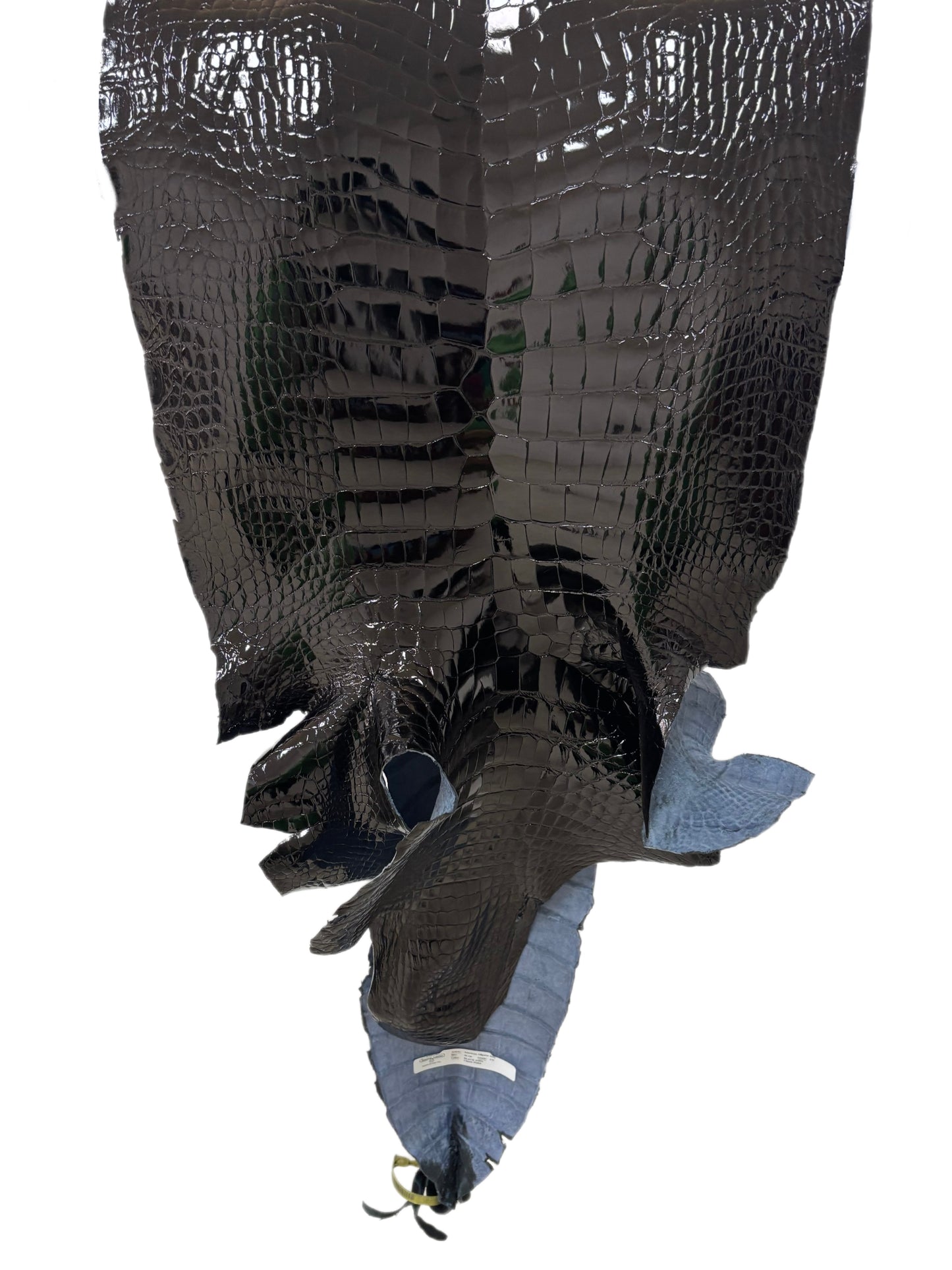 44 cm Grade 1/2 Black Glazed Wild American Alligator Leather - Tag: LA25-0028137