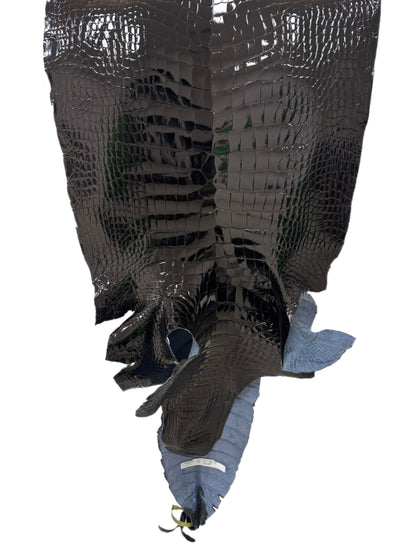 44 cm Grade 1/2 Black Glazed Wild American Alligator Leather - Tag: LA25-0028137