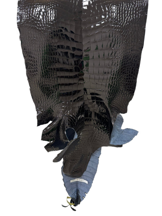 44 cm Grade 1/2 Black Glazed Wild American Alligator Leather - Tag: LA25-0028137
