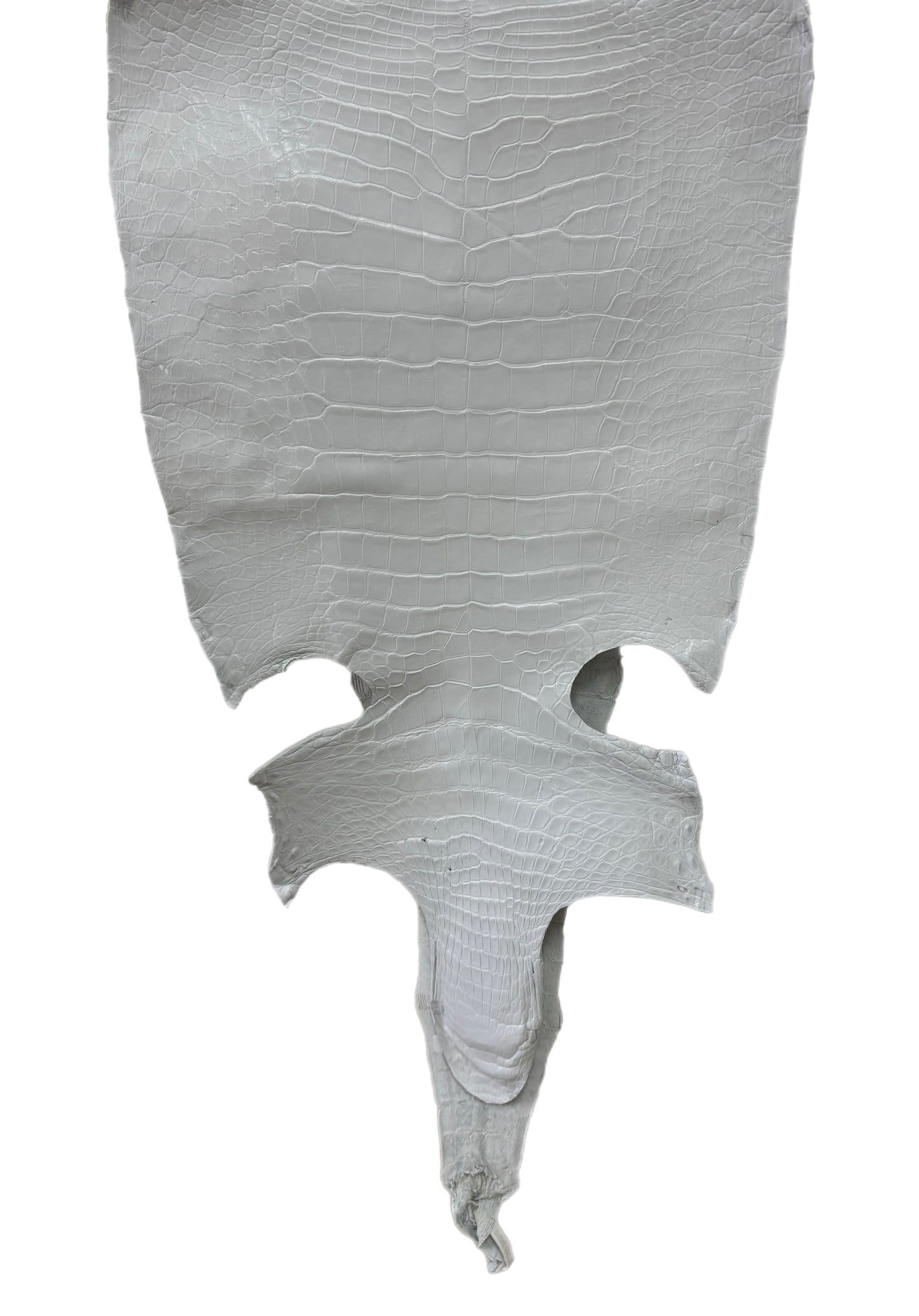 43 cm Grade 3/4 White Matte Wild American Alligator Leather - Tag: LA23-0040310