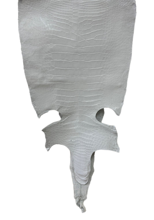 43 cm Grade 3/4 White Matte Wild American Alligator Leather - Tag: LA23-0040310