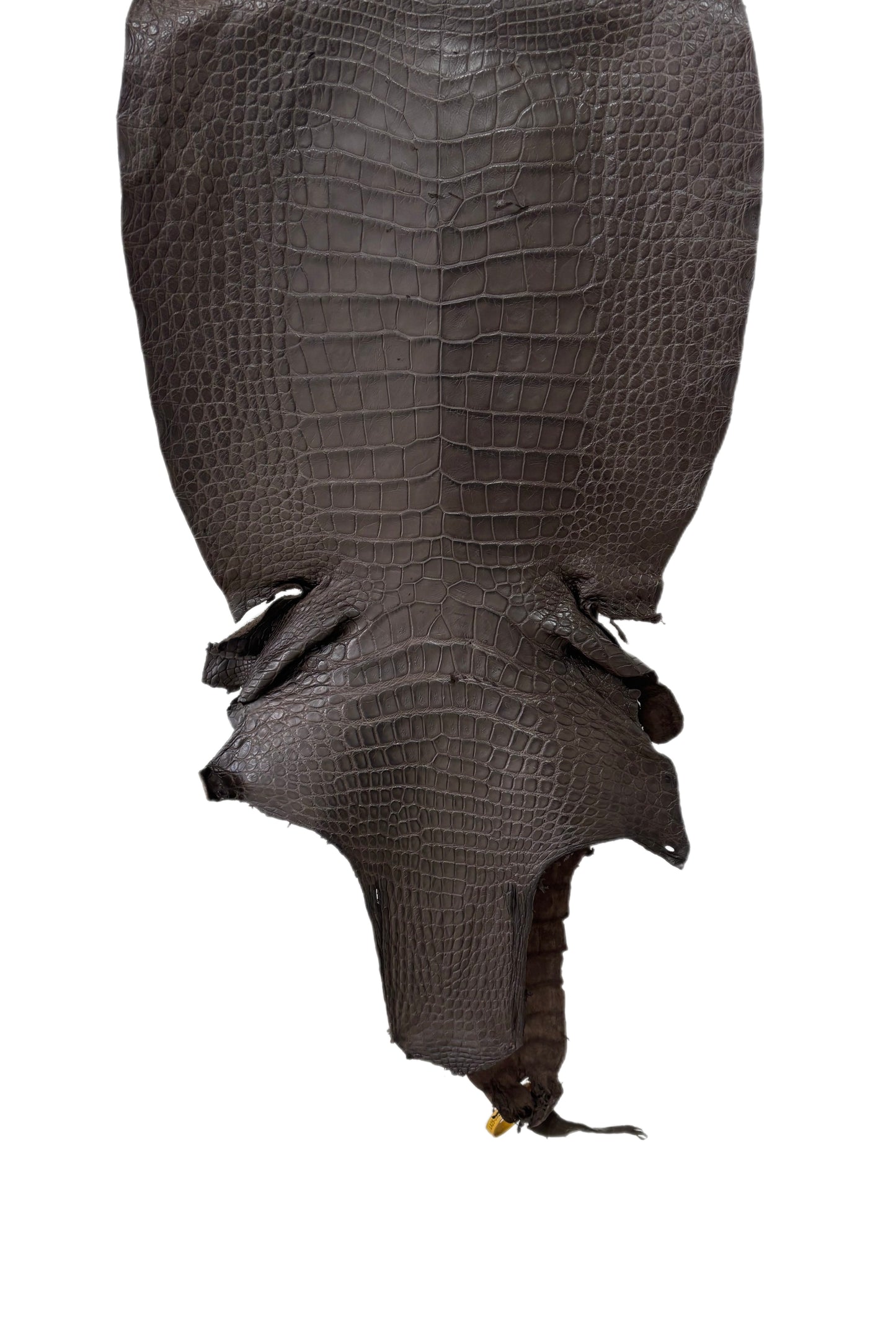 43 cm Grade 3/4 Kralle Brown Matte Wild American Alligator Leather - Tag: LA25-0501453