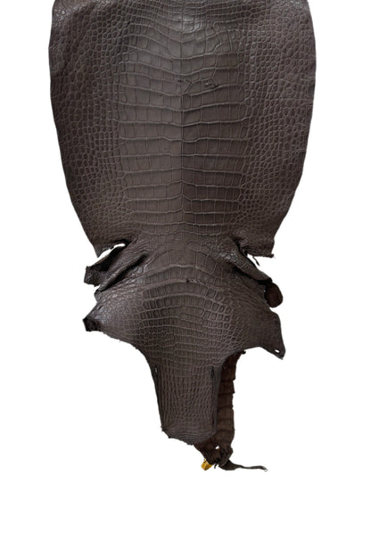 43 cm Grade 3/4 Kralle Brown Matte Wild American Alligator Leather - Tag: LA25-0501453