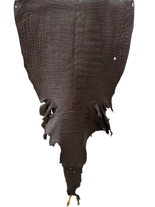 53 cm Grade 4/5 Dark Chocolate Matte Wild American Alligator Leather - Tag: LA23-0003343