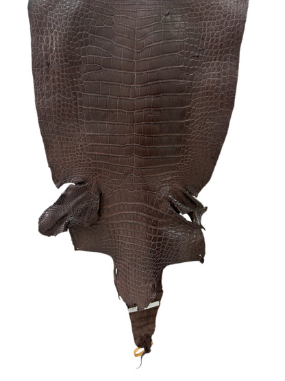 48 cm Grade 4/5 Chocolate Matte Wild American Alligator Leather - Tag: LA23-0051748