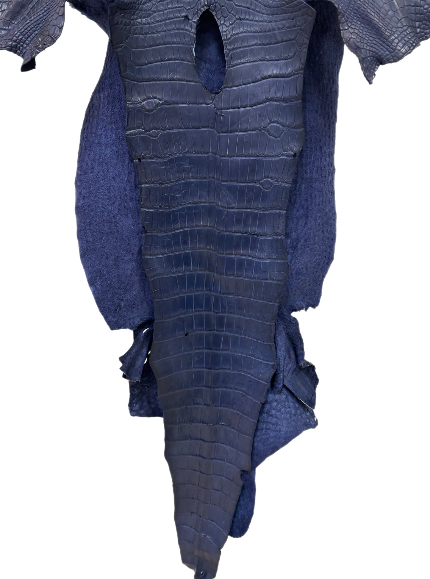 39 cm Grade 3/4 Navy Blue Desert Wild American Alligator Leather - Tag: LA24-0039688