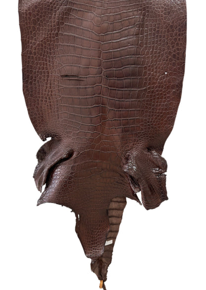 51 cm Grade 3/4 Chocolate Matte Wild American Alligator Leather - Tag: LA23-0049629