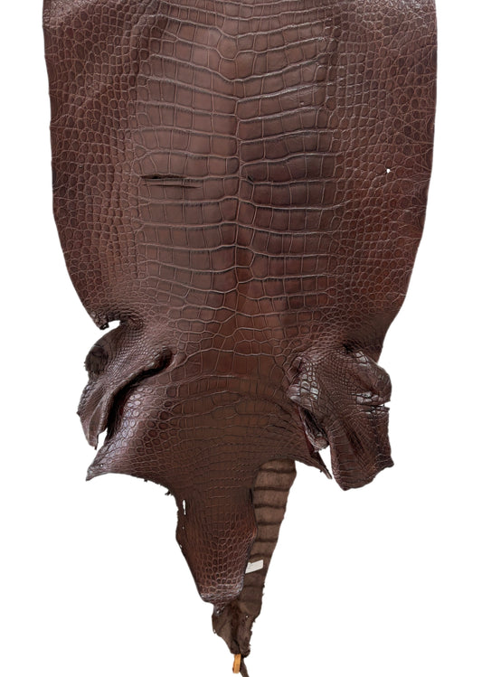 51 cm Grade 3/4 Chocolate Matte Wild American Alligator Leather - Tag: LA23-0049629
