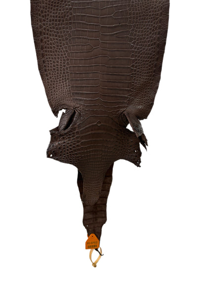 28 cm Grade 1/2 Chocolate Matte Wild American Alligator Leather - Tag: FL15-0057058