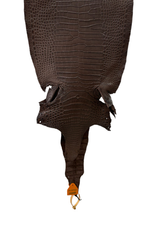 28 cm Grade 1/2 Chocolate Matte Wild American Alligator Leather - Tag: FL15-0057058