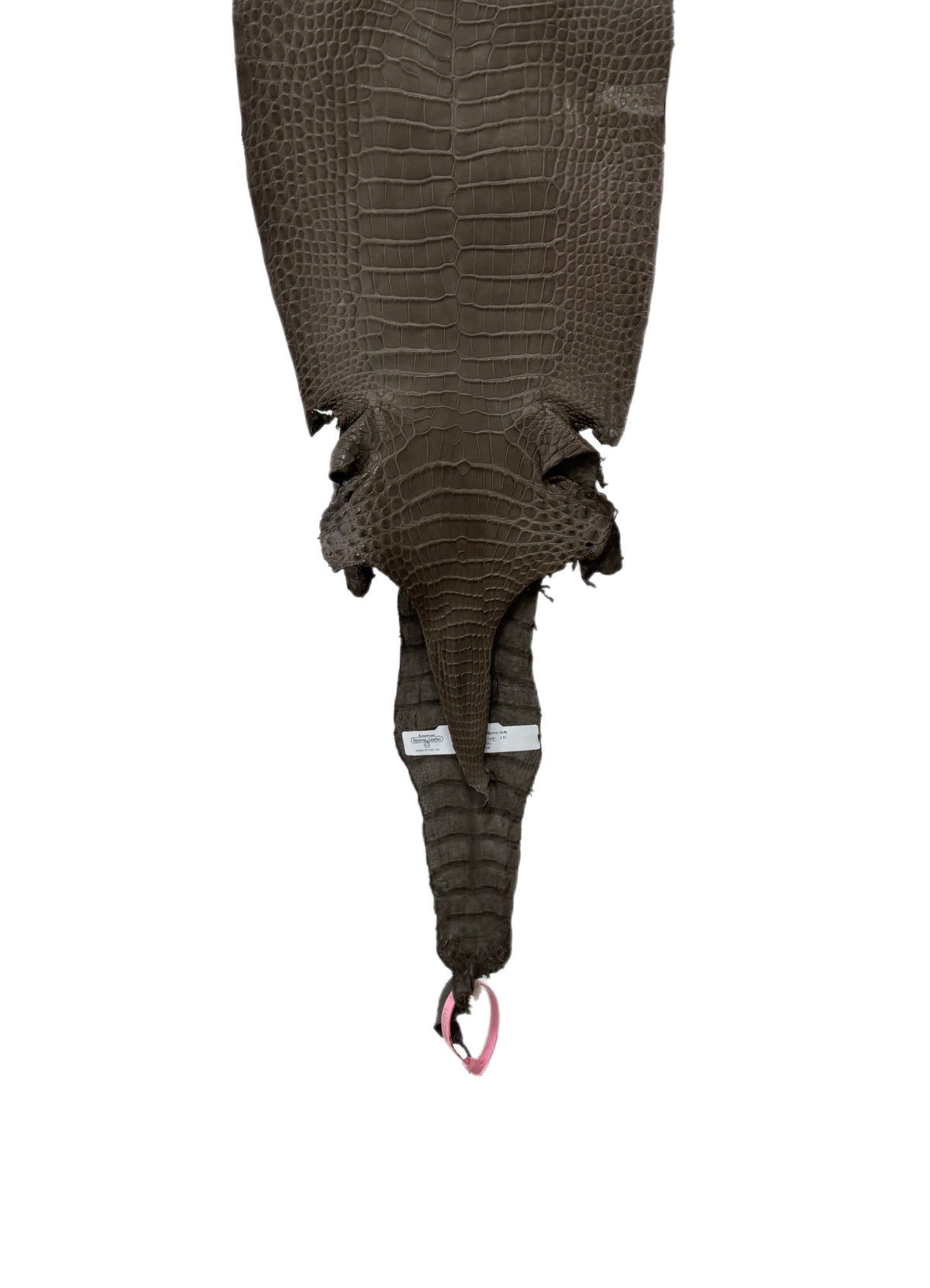 25 cm Grade 1/2 Etain Matte Farm-Raised American Alligator Leather - Tag: LA24-0228849