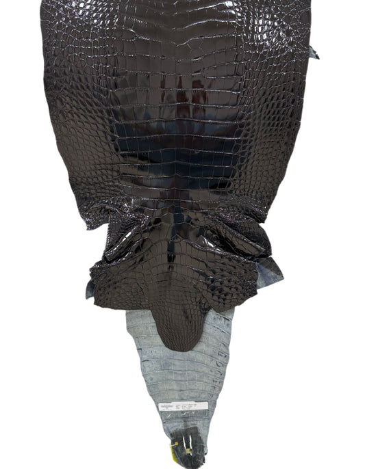 36 cm Grade 1/2 Black Glazed Farm-Raised American Alligator Leather - Tag: GA13-0021214