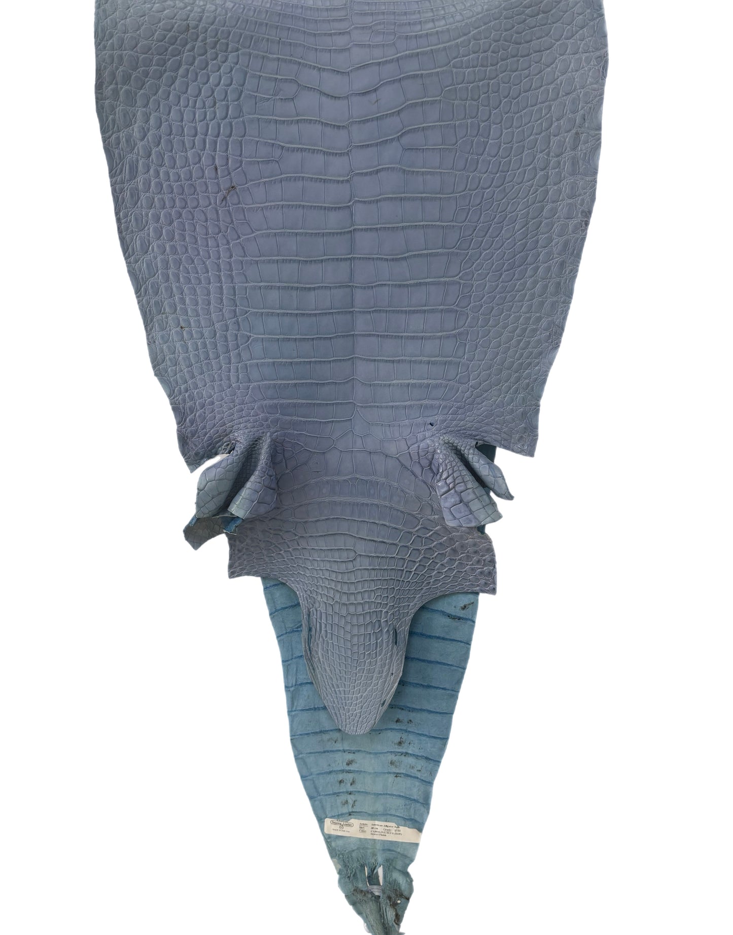 38 cm Grade 2/3 Carolina Blue Matte Farm Raised American Alligator Leather - Tag: FL17-0052787