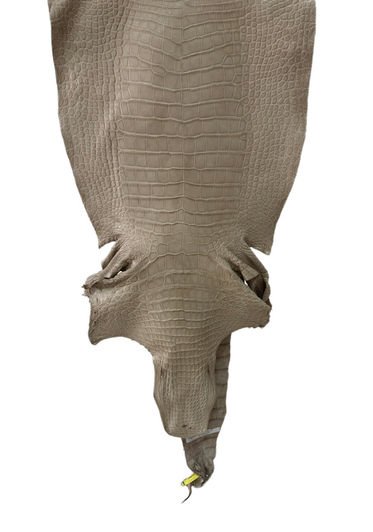53 cm Grade 2/3 Oatmeal Matte Wild American Alligator Leather - Tag: LA25-0037599