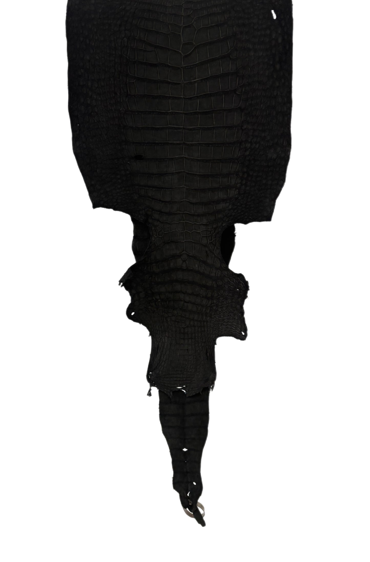 36 cm Grade 3/4 Black Nubuck Wild American Alligator Leather - Tag: LA23-0004429