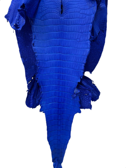 38 cm Grade 2/3 Royal Blue Matte Wild American Alligator Leather - Tag: LA23-0050907