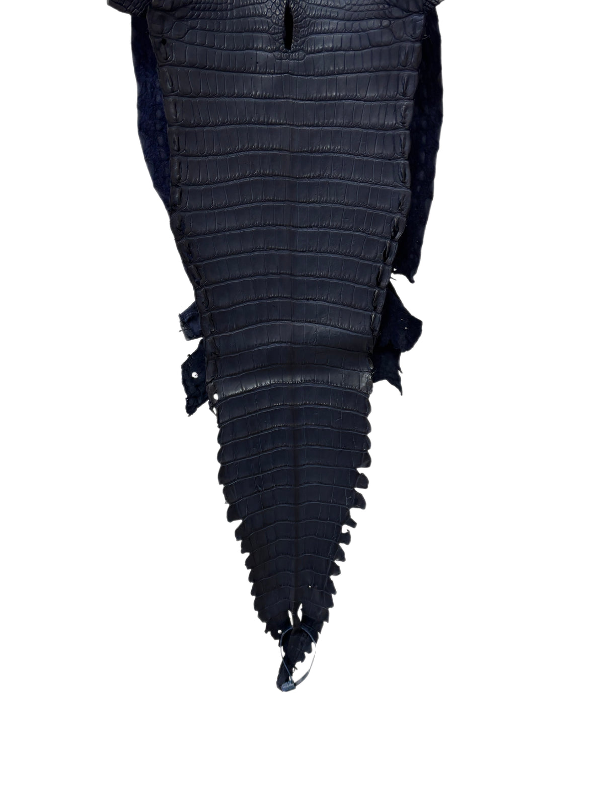 31 cm Grade 1/2 Navy Blue Matte Farm-Raised American Alligator Leather - Tag: FL17-0052636