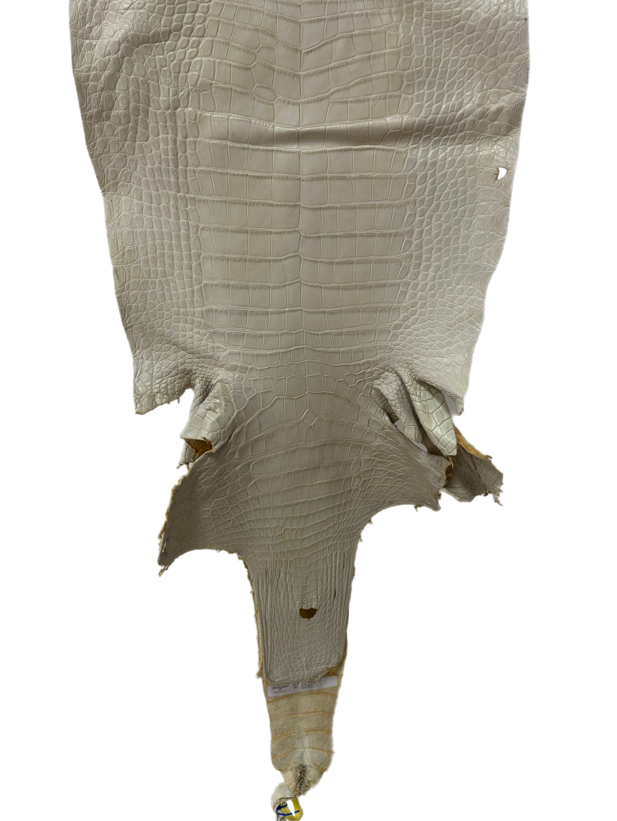 46 cm Grade 2/3 Dune Matte Wild American Alligator Leather - Tag: LA25-0041069
