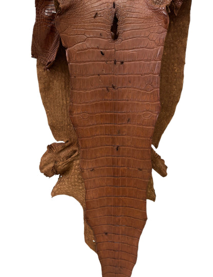 44 cm Grade 4/5 Cigar Matte Wild American Alligator Leather - Tag: LA22-0038273