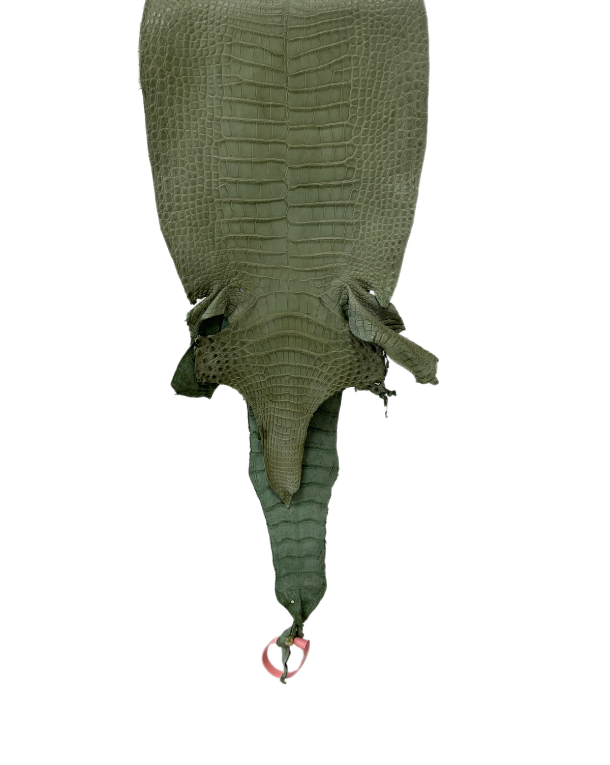 New Color! 25 cm Grade 1/2 Sage Green Matte Farm-Raised American Alligator Leather - Tag: LA24-0228885