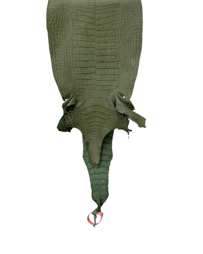 New Color! 25 cm Grade 1/2 Sage Green Matte Farm-Raised American Alligator Leather - Tag: LA24-0228885