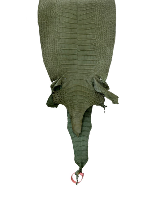 New Color! 25 cm Grade 1/2 Sage Green Matte Farm-Raised American Alligator Leather - Tag: LA24-0228885