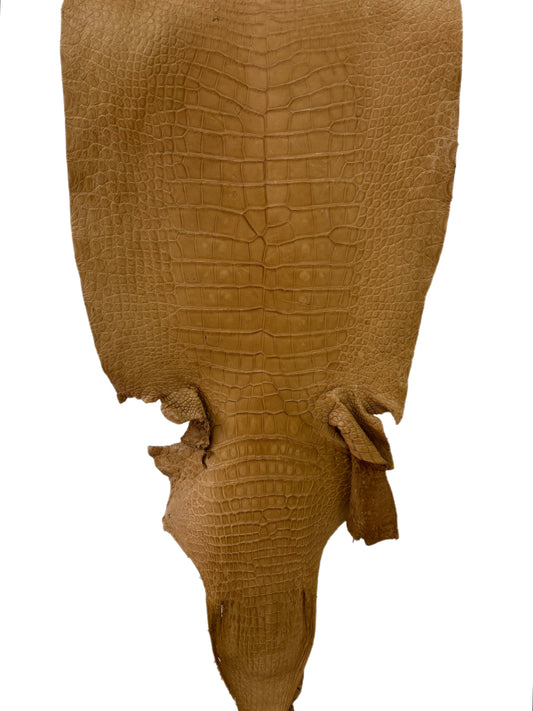 41 cm Grade 4/5 Antique Saddle Matte Wild American Alligator Leather - Tag: LA24-0012025