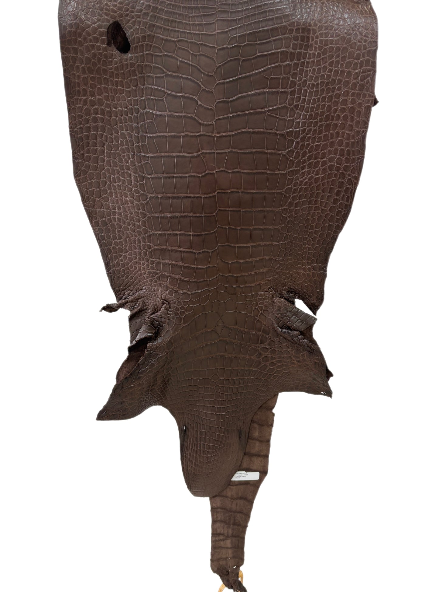 42 cm Grade 2/3 Chocolate Matte Wild American Alligator Leather - Tag: LA23-0028013