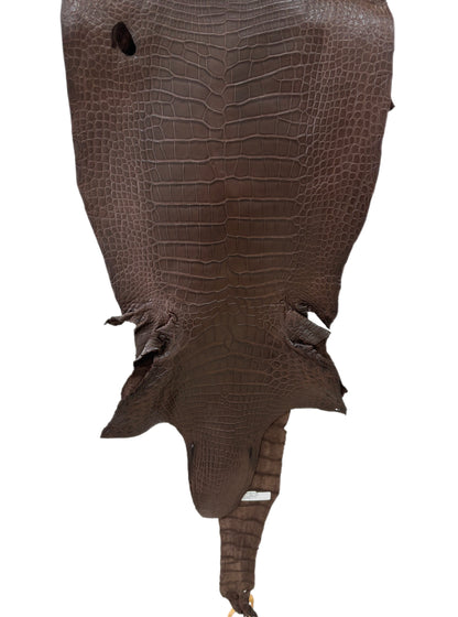 42 cm Grade 2/3 Chocolate Matte Wild American Alligator Leather - Tag: LA23-0028013