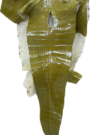 CLOSEOUT | 41 cm Grade 3/4 Muguet Glazed Wild American Alligator Leather - Tag: CCIT-0539952
