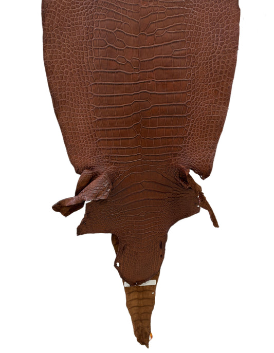 44 cm Grade 3/4 Cigar Matte Wild American Alligator Leather - Tag: LA19-0017928