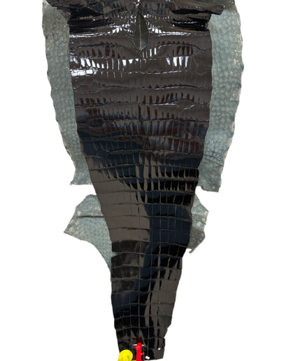 35 cm Grade 1/2 Black Glazed Farm-Raised American Alligator Leather - Tag: ITCC-0539894