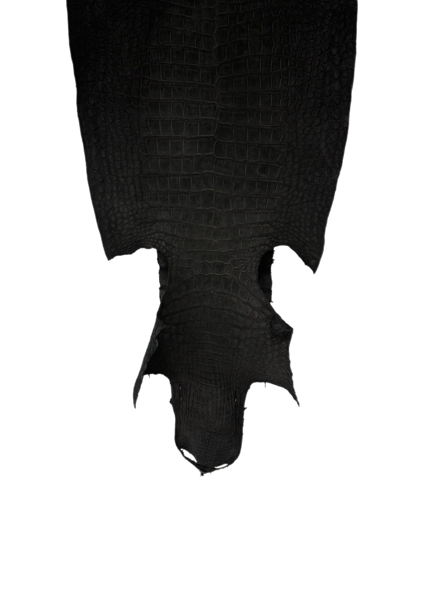 40 cm Grade 2/3 Black Nubuck Wild American Alligator Leather - Tag: FL24-0077618