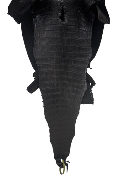 39 cm Grade 2/3 Black Matte Farm-Raised American Alligator Leather - Tag: LA25-0316355