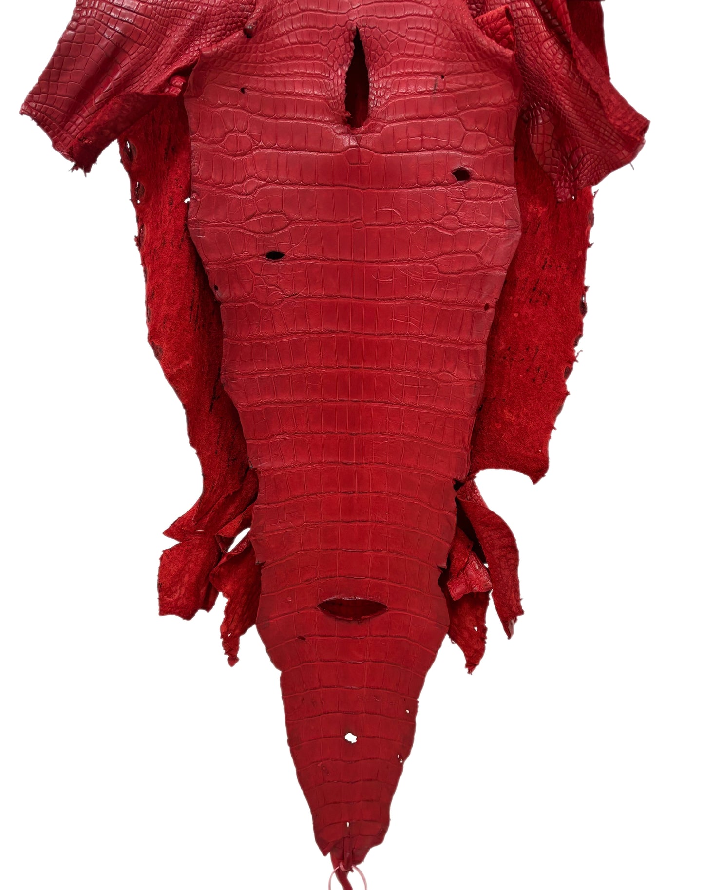 48 cm Grade 4/5 Candy Apple Red Matte Wild American Alligator Leather - Tag: LA23-0023074