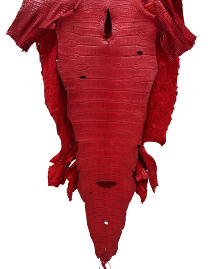 48 cm Grade 4/5 Candy Apple Red Matte Wild American Alligator Leather - Tag: LA23-0023074