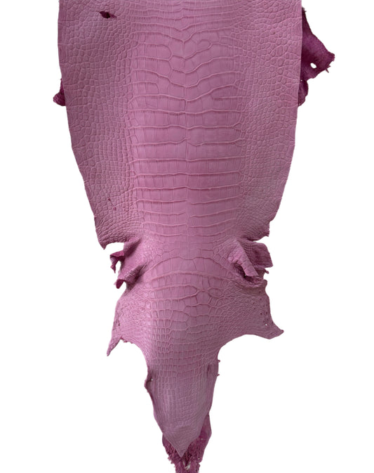 37 cm Grade 4/5 Cotton Candy Matte Wild American Alligator Leather - Tag: LA23-0014518