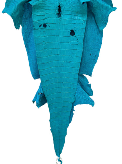 41 cm Grade 3/4 Turquoise Matte Wild American Alligator Leather - Tag: LA23-0003746