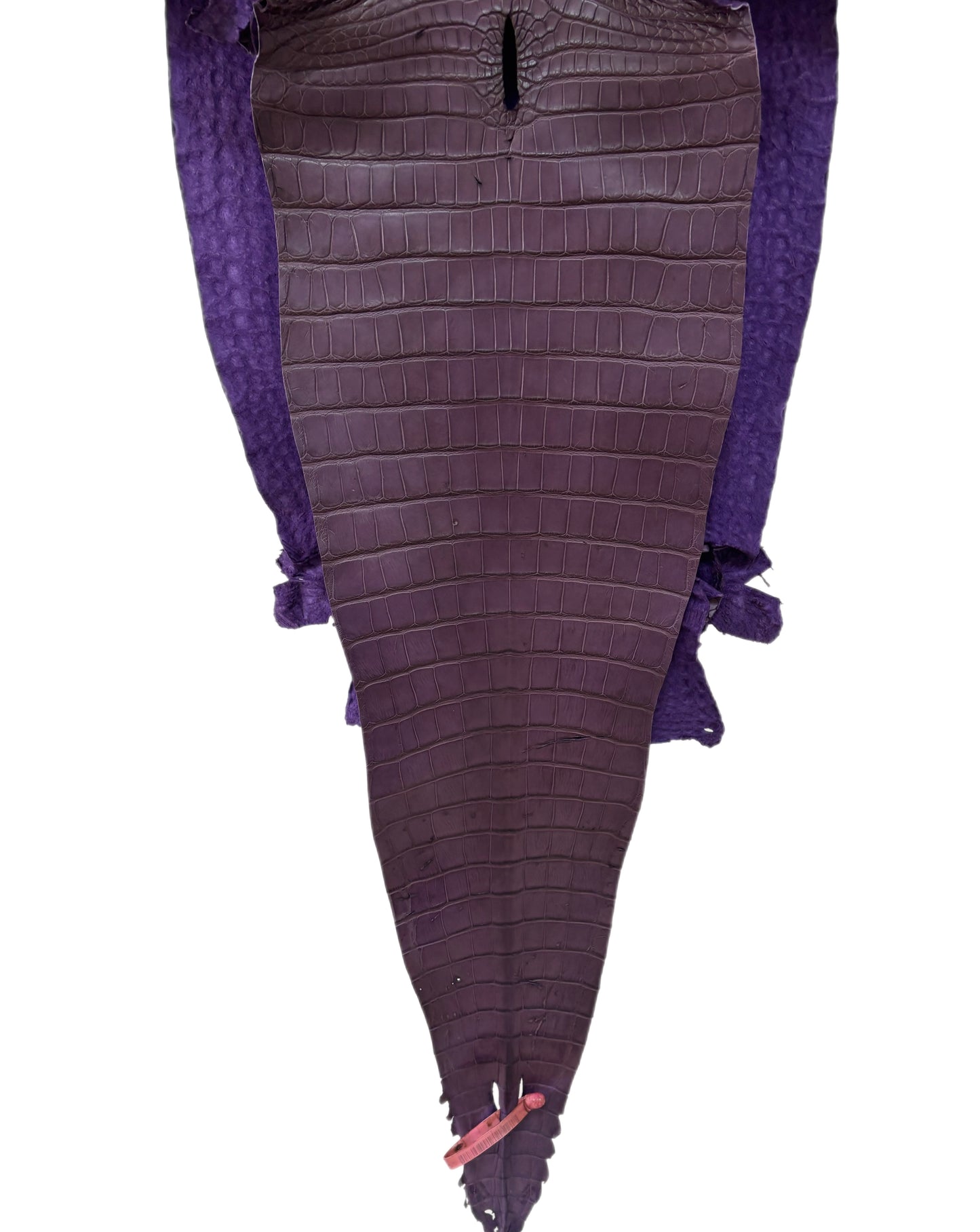 38 cm Grade 2/3 Aubergine Matte Farm-Raised American Alligator Leather - Tag: FL18-0034907